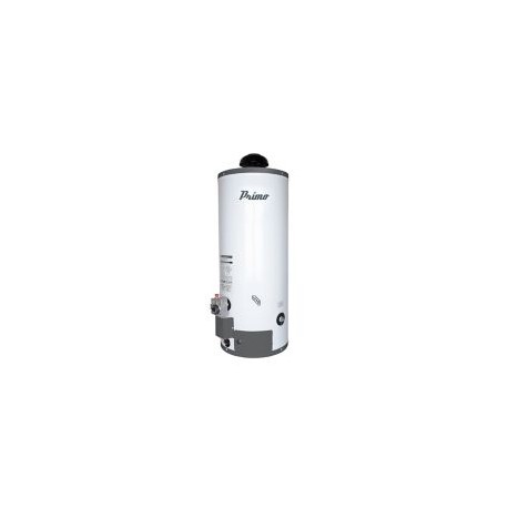 Calentador de depósito primo gas LP 60 lt