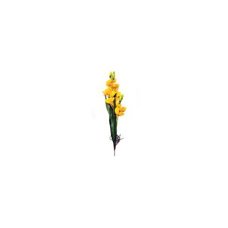 Orquídea con raíz y hojas amarilla