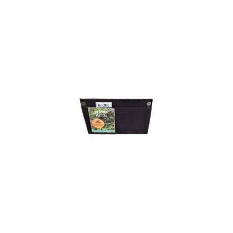 Contenedor plantas mini