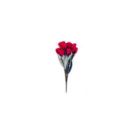 Ramo de 11 tulipanes rojo