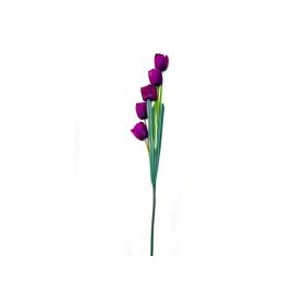 Vara de tulipán morado