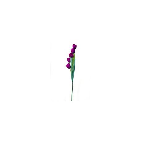 Vara de tulipán morado
