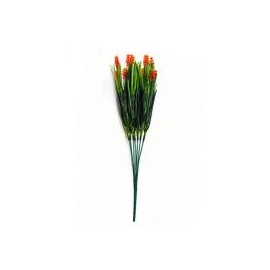 Cebollín con flores naranja