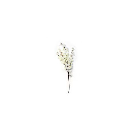 Flor de durazno crema