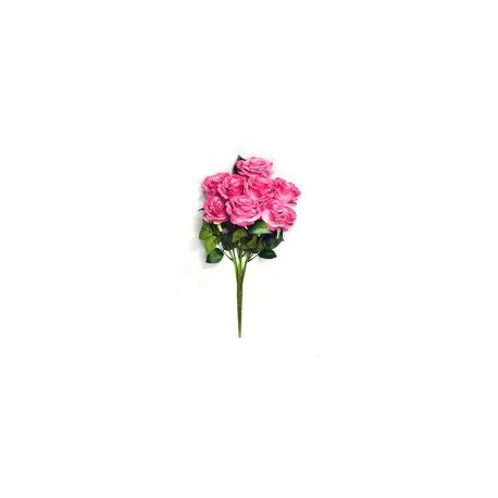 Ramo de 9 rosas fucsia