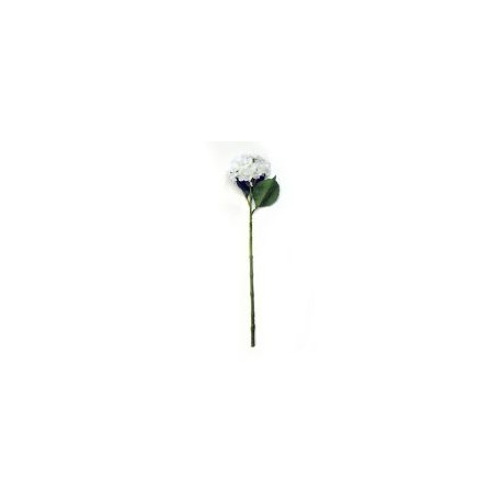 Vara de hortensia blanca