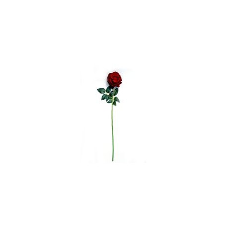 Rosa cabbage aterciopelada rojo
