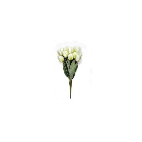 Ramo de 11 tulipanes crema