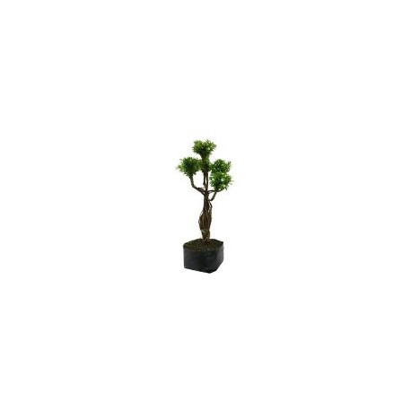 Planta trueno transformer