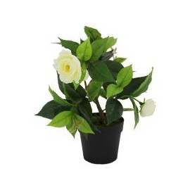 Planta artificial camelia blanca 22 x 17 cm