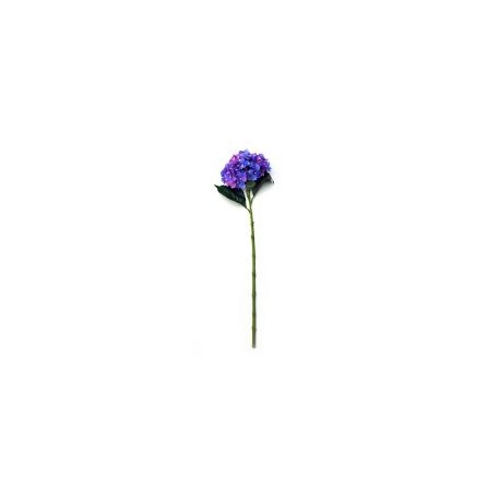 Vara de hortensia morada con matices rosa