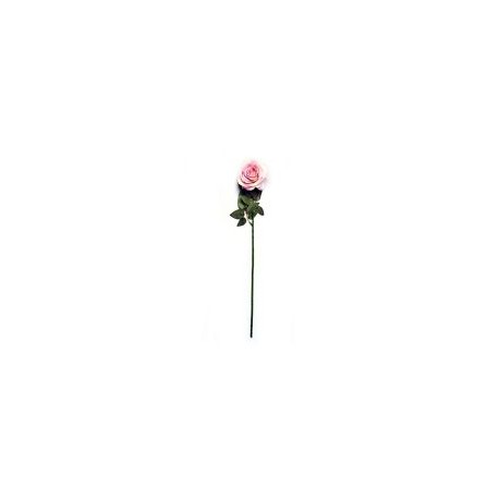 Cabbage aterciopelada rosa