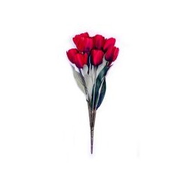 Ramo de 11 tulipanes rojo