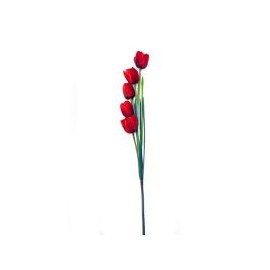 Vara de tulipán rojo