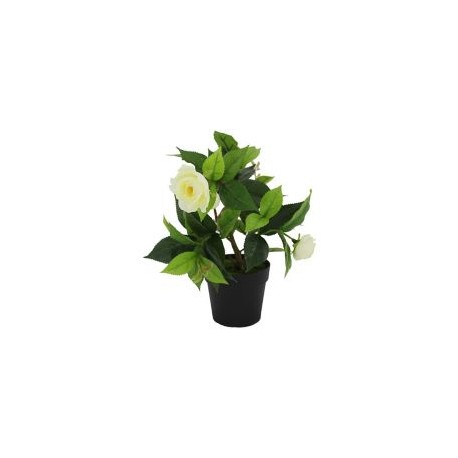 Planta artificial camelia blanca 22 x 17 cm