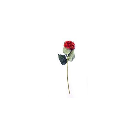 Vara de hortensia rojo