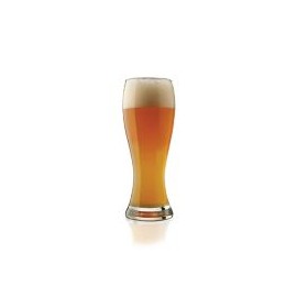 Cervecero Altto 591ml/20oz